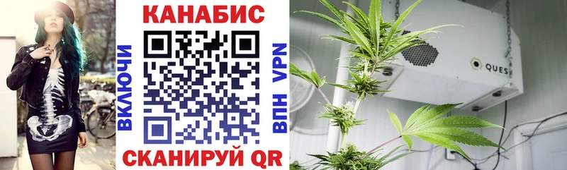 Бошки Шишки VHQ  omg сайт  Учалы 